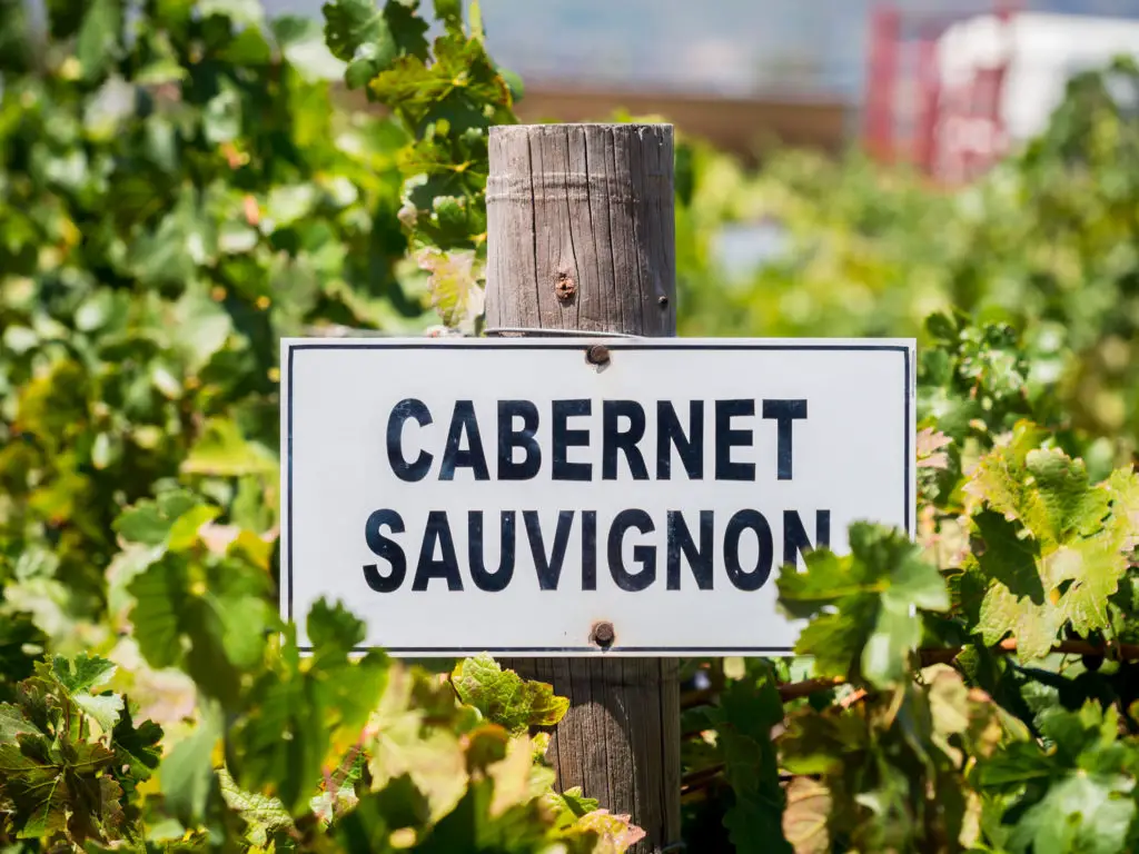 Cabernet Sauvignon vs. Chianti - find out the key differences in taste