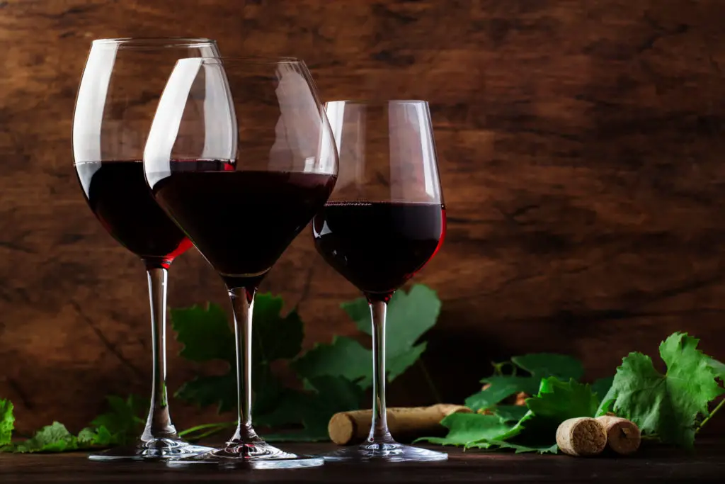 Malbec vs Pinot Noir