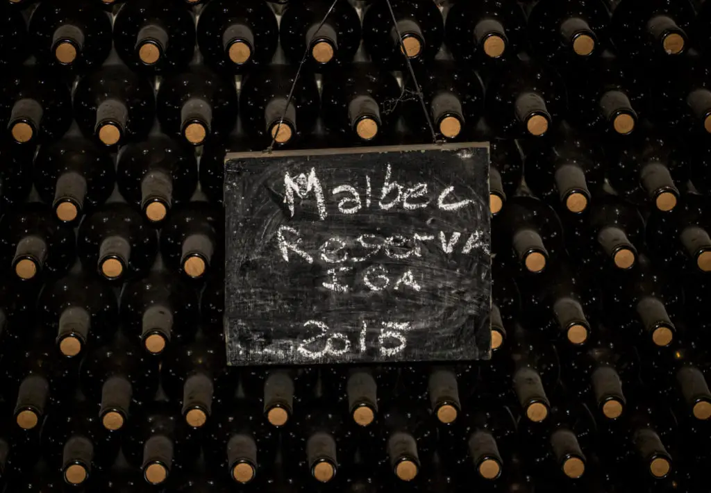 Best Malbec Wine - 12 bottles of wine to try now.