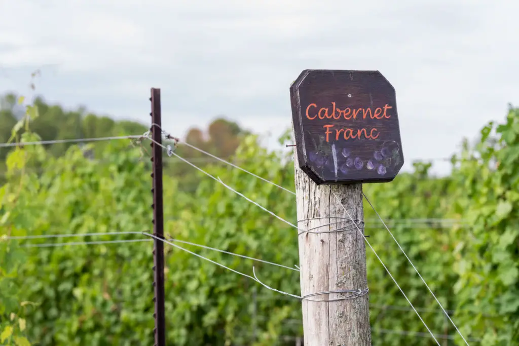 What Pairs With Cabernet Franc
