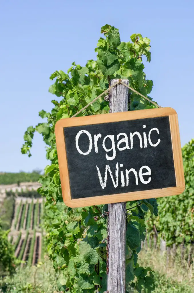 organic white wine