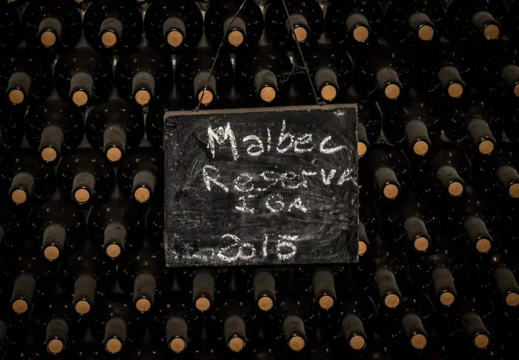 malbec vs pinot noir - malbec bottles in storage